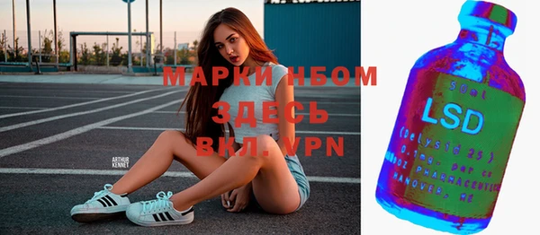 spice Аркадак