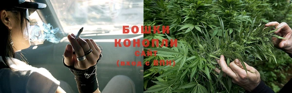 spice Аркадак