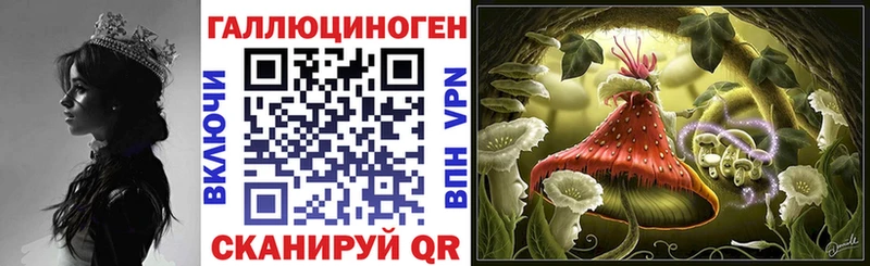 MEGA ONION  Луга  Галлюциногенные грибы мицелий 